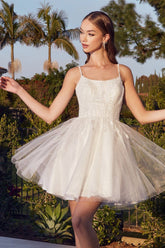 TABITHA MINI DRESS - LAYERED TULLE A-LINE SHORT DRESS
