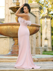 Sochi Gown - Blush Feather Trim Dress - FINAL SALE