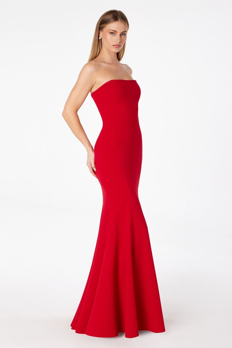 Poppy Maxi Dress - Strapless Fitted Dress
